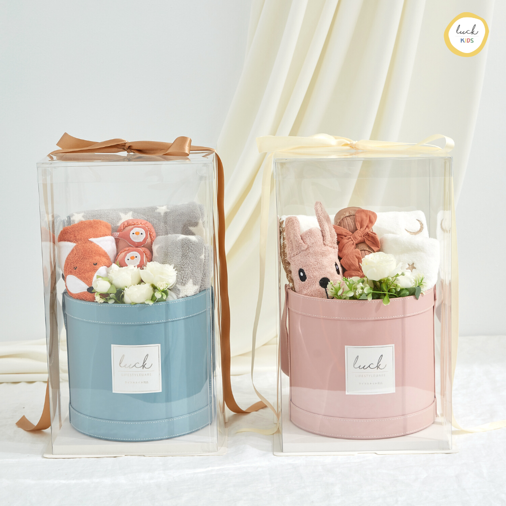 Newborn Gift Set - Baby C (Whispy Blue)